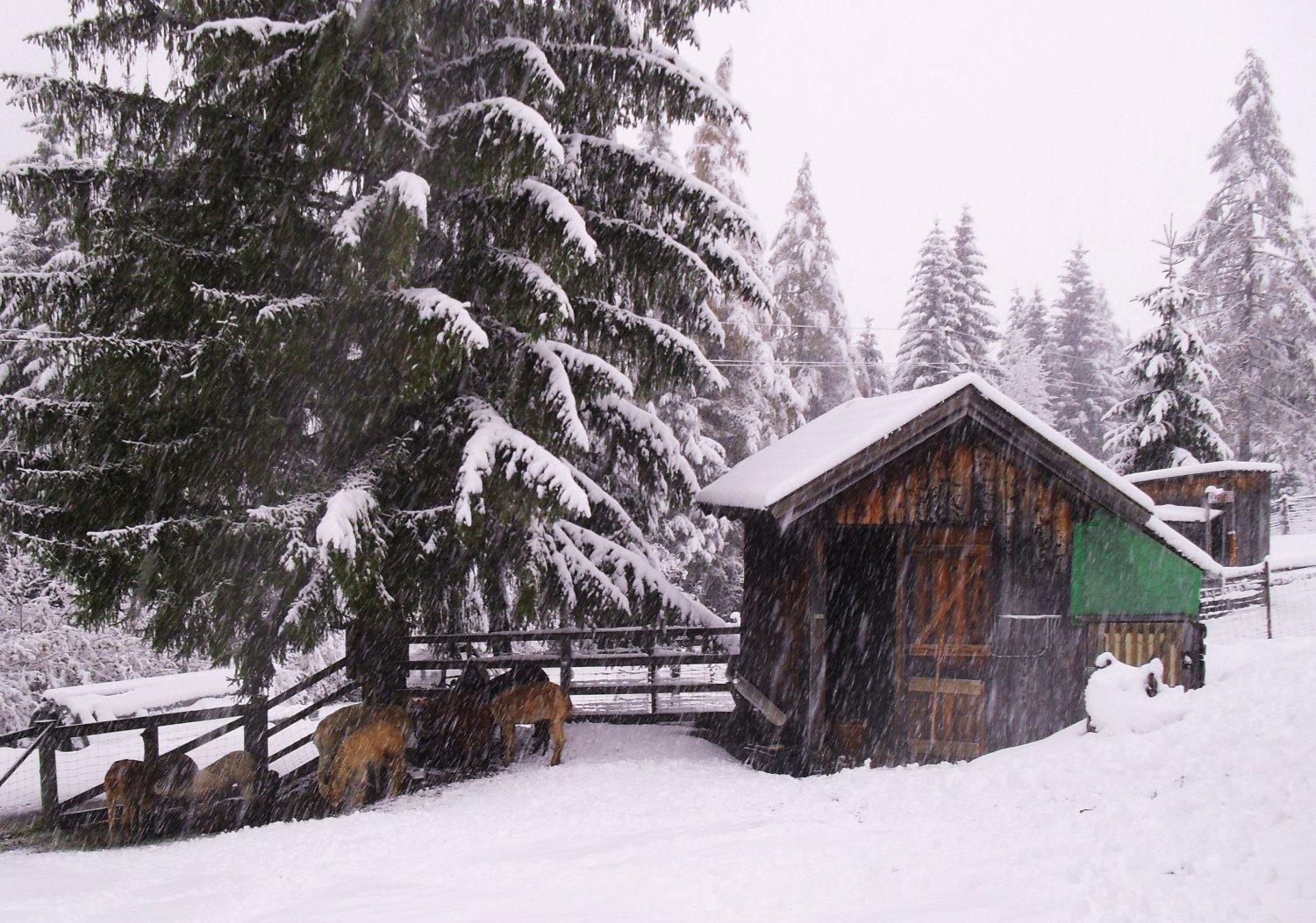 Gasthof Panorama