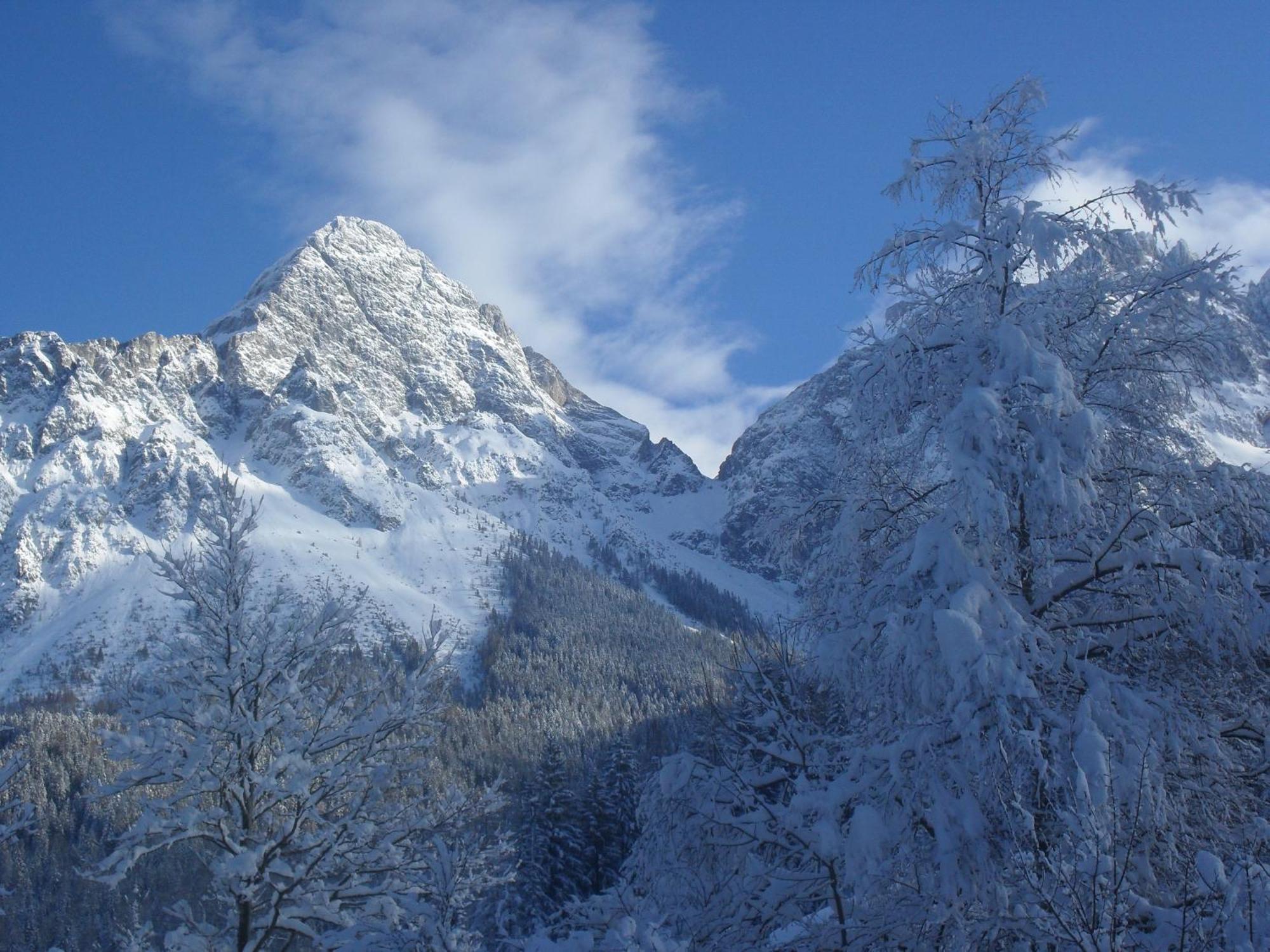 Gasthof Panorama
